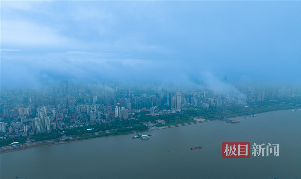 扎金花网络